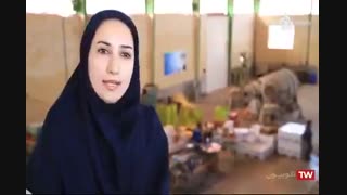 شیرازی موفق