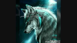 عکس نوشته گرگ