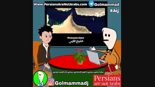 واکنش دکتر گلممد به زدن پهباد امریکا