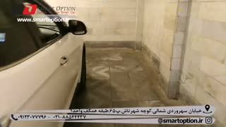 آپشن های سانتافه (دوربین 360درجه، رادار نقطه کور، ساب جلو و عقب)- اسمارت آپشن