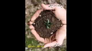 زندگی یعنی چه