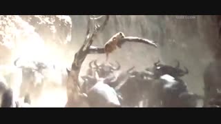 فیلم  The Lion King 2019