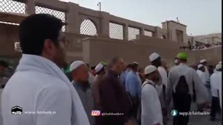 خورشید های زمینی