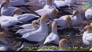 آهنگ انگیزشی (یه بار دیگه) از راتین رها