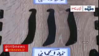 تحریم این ویلچر آلمانی شکسته خواهد شد، اگر...