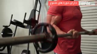 ورزشی که مسکن درد کمر است