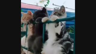 حس این روزای من