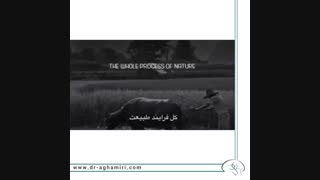 داستان کشاورز چینی