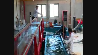 طرحی ابتکاری برای صرفه جویی در آب کشاورزی