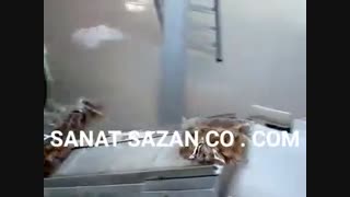 دستگاه بسته بندی گردو