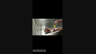 آموزش نحوه صحیح شستن سگ