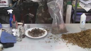 پرورش قارچ  از صفر تا صد