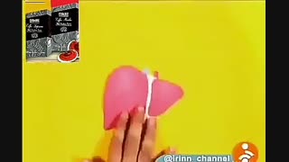 کبد چرب به درمان قطعی رسید