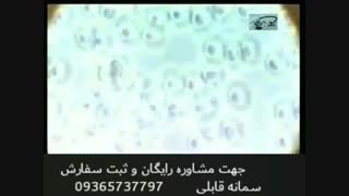 زگیل تناسلی و راهکار جدید درمان این بیماری