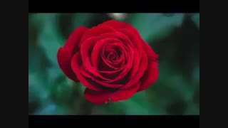 واما...چالشی دیگر...