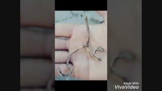 بچها ببینید چی پیدا کردیم ! @_@