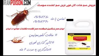 فروش قوی ترین سم کشنده سوسک