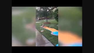 جالبترین - میکس : میکس صحنه های جذاب و جالب و خنده دار از سراسر دنیا