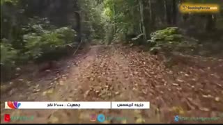 جزیره کریسمس، جزیره جذاب و زیبا در اقیانوس هند - بوکینگ پرشیا bookingpersia