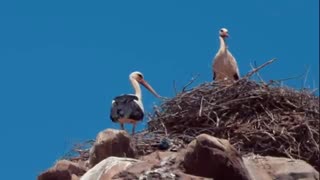 قلعه لک لکها - زنجان - ماهنشان