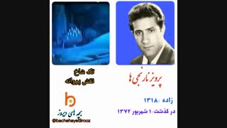 پریز نارنجی ها
