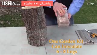 تولید قارچ _ قارچ خوراکی