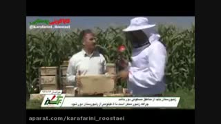 زنبوردار نمونه چگونه عمل می کند؟