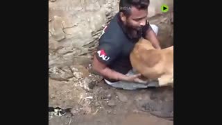 سگی که تلاش می‌کند فرزندان خود را از زیر آوار نجات دهد