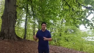 بازیابی آرامش - فکر سبز- علی صادقپور