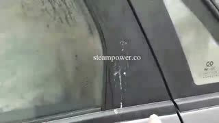 از بین بردن فضولات پرندگان از روی بدنه ماشین