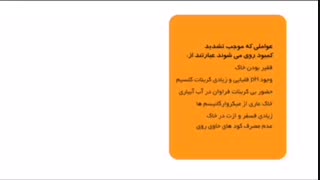 آمینوکلات روی