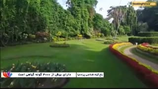 باغ سلطنتی پرادنیا،مجموعه زیبایی های طبیعت در سریلانکا - بوکینگ پرشیا