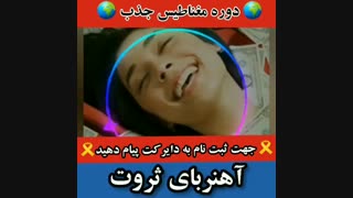 آهنربای ثروت