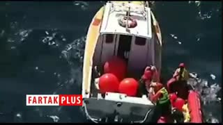 نجات وال اسیر شده در تور ماهیگیری