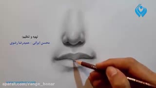 آموزش طراحی از بینی و لب