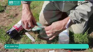 آموزش زنبورداری از مبتدی تا حرفه ای