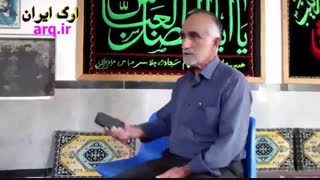 مگس میوه مدیترانه ای