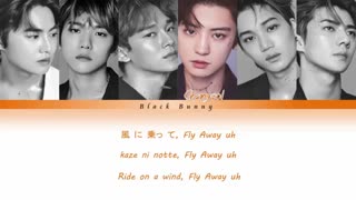 EXO (엑소) - BIRD (Color Coded Lyrics Kan/Rom/Eng/歌詞)
