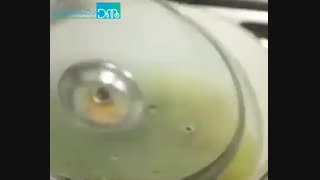 ماسک آبرسان برای رفع خشکی پوست