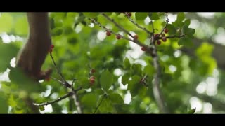 قسمت چهارم سریال کره ای کشور من My Country+زیرنویس آنلاین با بازی یانگ سه جونگ و جانگ هیوک