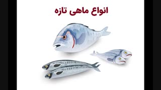 فروش انواع ماهی و میگو