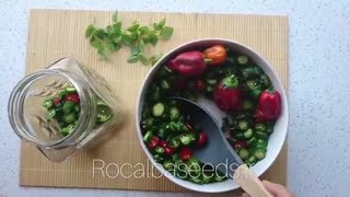 آموزش ترشی فلفل تند هالوپینو