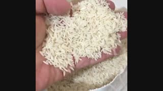 طارم کشت اول فریدونکنار