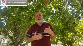 الماس درونت را دریاب دوست عزیزم
