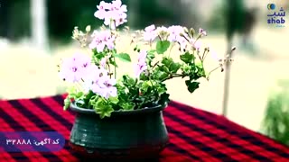 اقامتگاه بومگردی(سورگل) گیلان