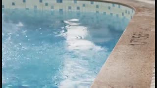 قسمت بیست و نهم  سریال چینی لبخند زیباست A Smile is Beautiful