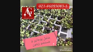 دستگاه روغنگیری زیتون