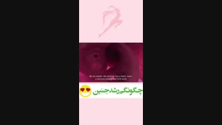 چگونگی رشد جنین