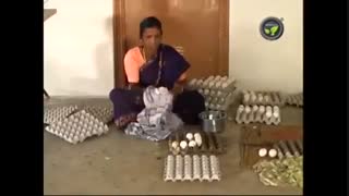 پرورش بوقلمون به روش بومی