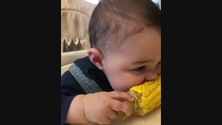 جانه جانان که میگیم ایشونن